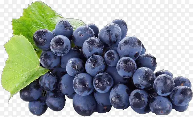 ��ɫˮ������-������