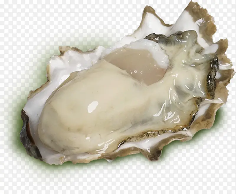 ���庣�����-������