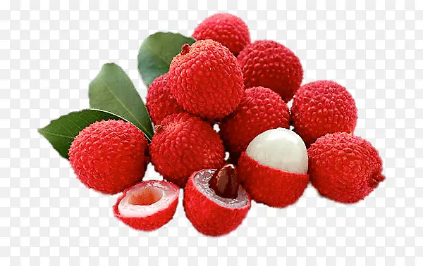 ������֦����ز�-������