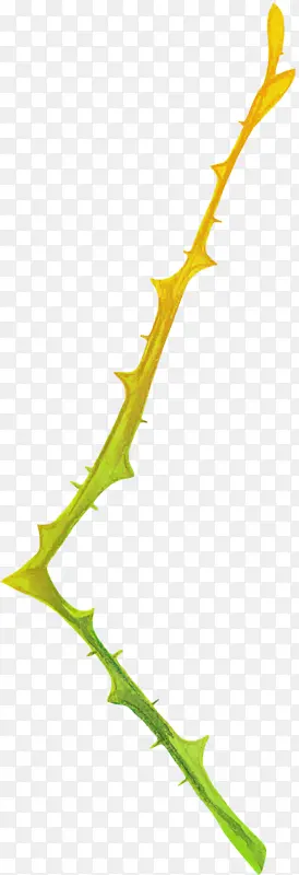 �廭���ֲ����֦֦��-������