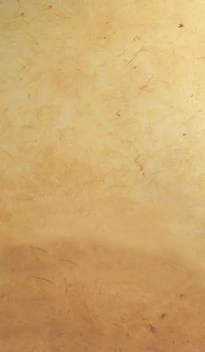 �������Ƶ����-������