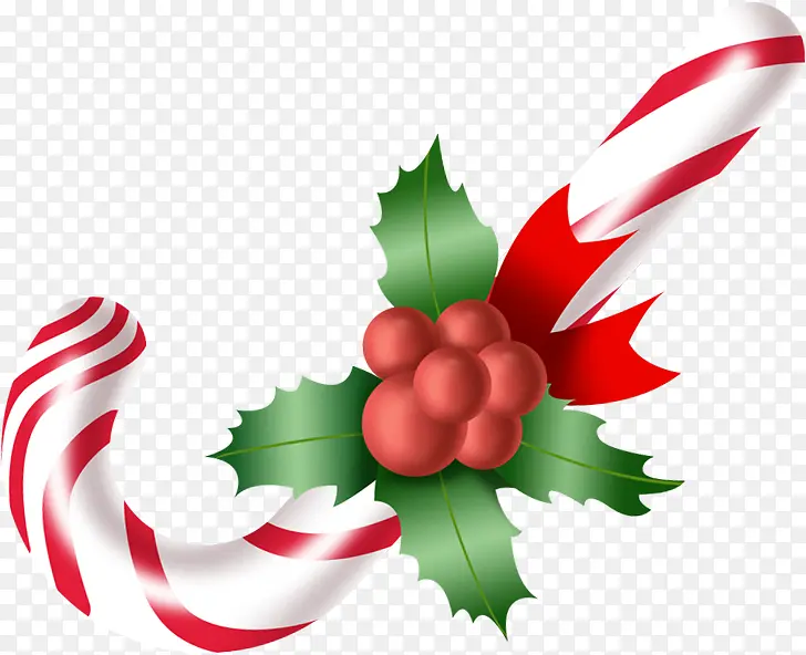 ʥ����ʥ���ǹ���Ҷ-������