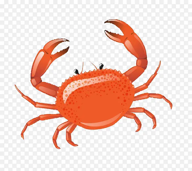 �з����բз��ʳ�����-������