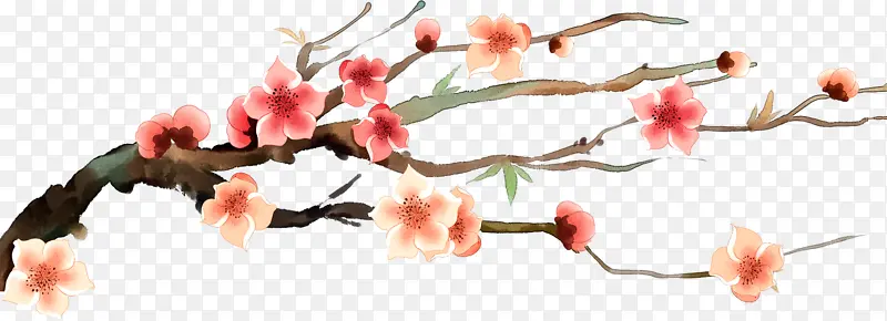 ÷��֦ͷʢ��-������