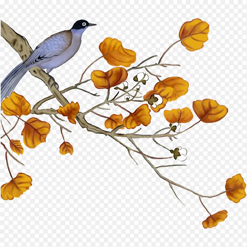 վ����Ҷ��֦�ϵ���-������