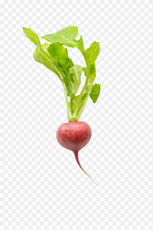 ���� �߲��ܲ�-������