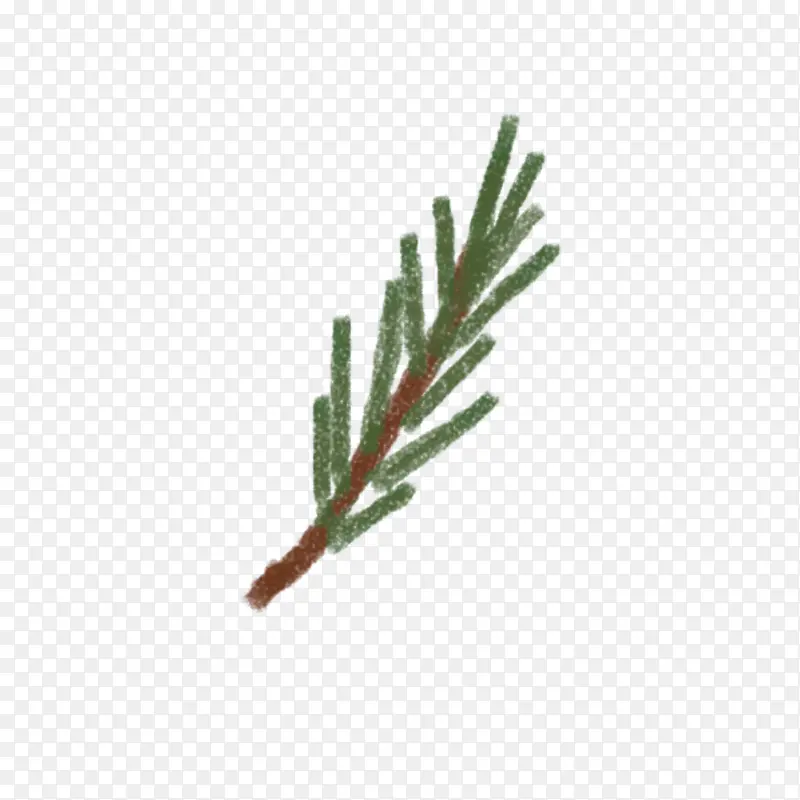 ʥ���ڵ�����֦-������