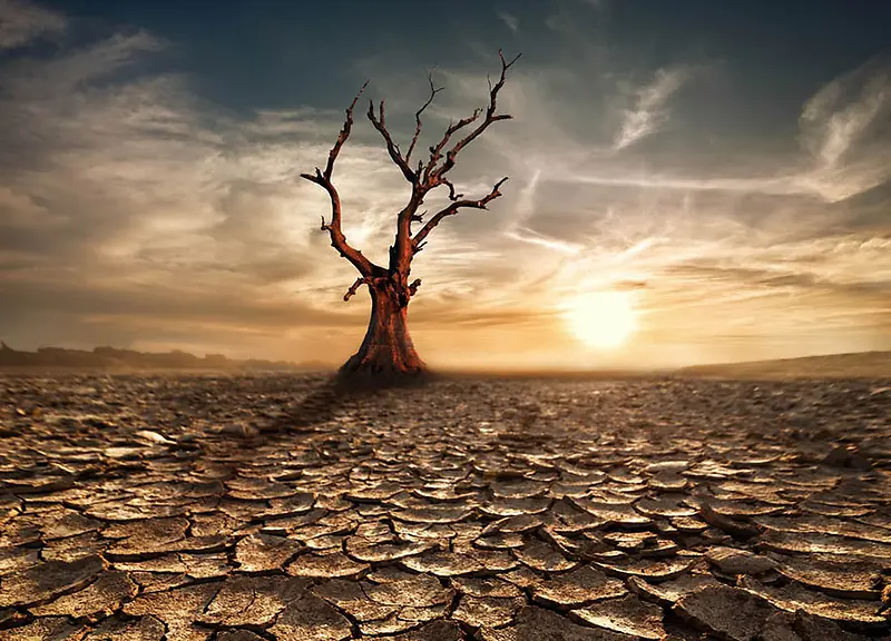 ƶ�¼���������-������