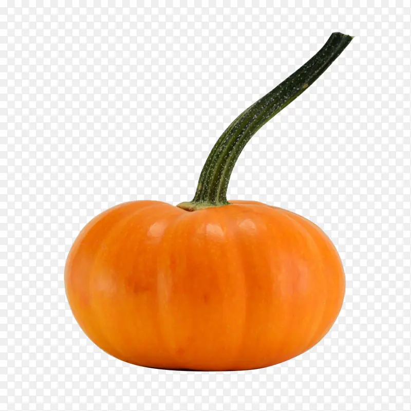 �ɰ���С�Ϲ�-������