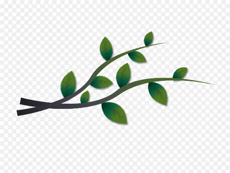 С������֦Ҷ��-������