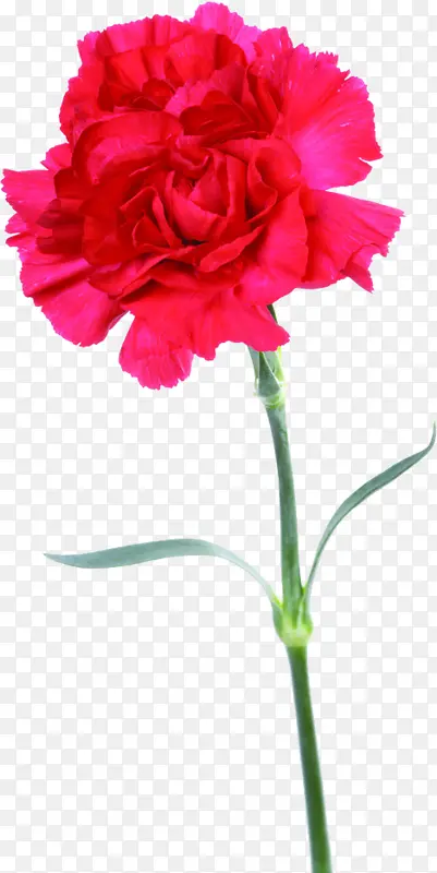 ����ܰĸ�׽�-������