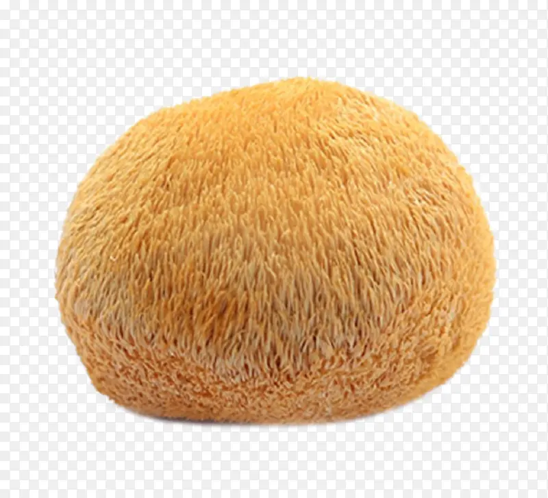 ��ͷ��ֲ��ʳ��-������