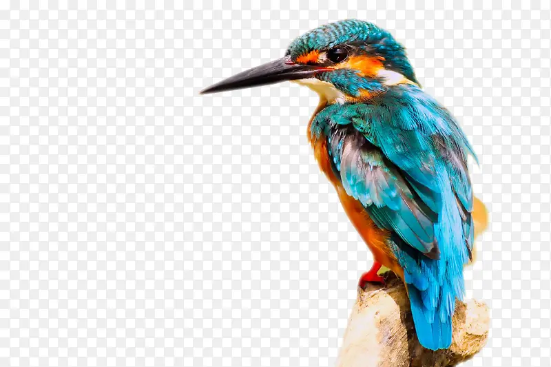 ������۶���-������