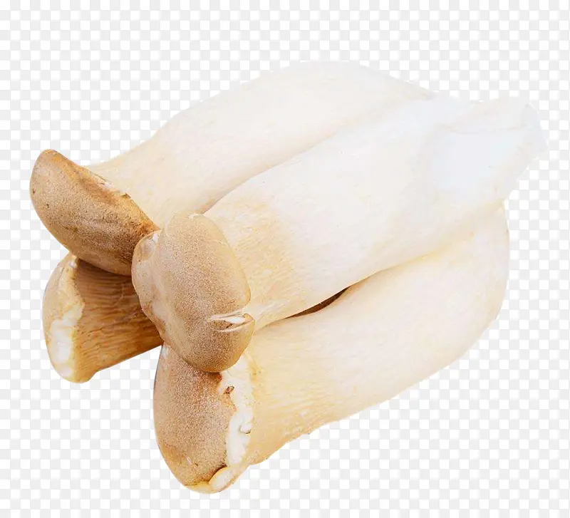 ���ȹ�ֲ��ʳ��-������