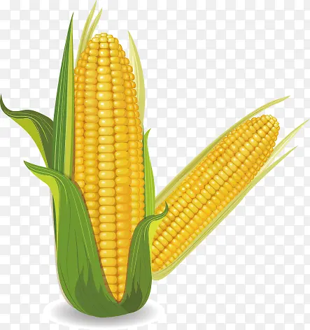 ��ͨ�߲�-��������-������