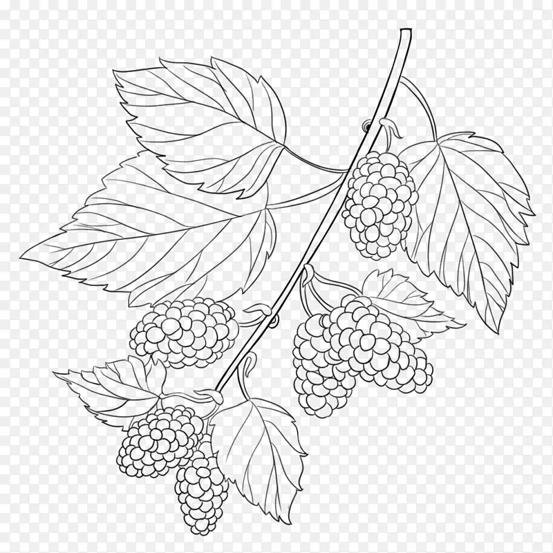 �ֻ�ɣ��Ҷ��-������