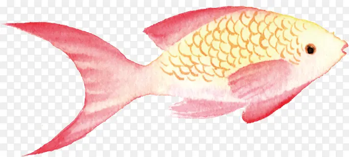 �ֻ濨ͨС����-������