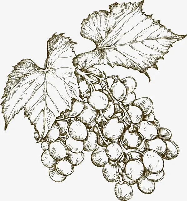 ���Ѳ廭ʸ��-������