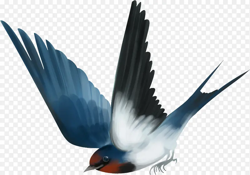 ����������С��ȸ��-������