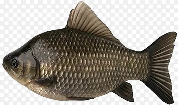 ���� ˮ��Ʒ ˮ�� ��ˮ��-������