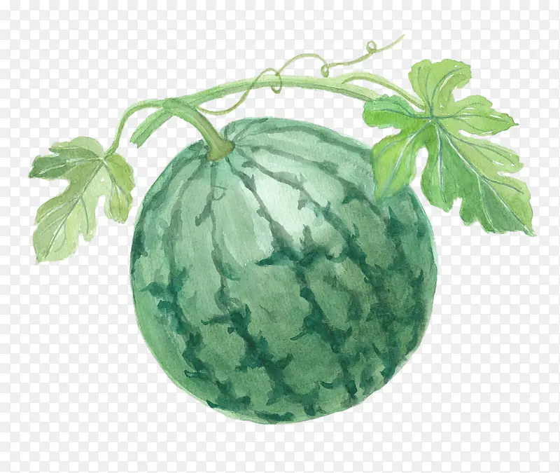 �ֻ���ɫ���ϲ廭-������