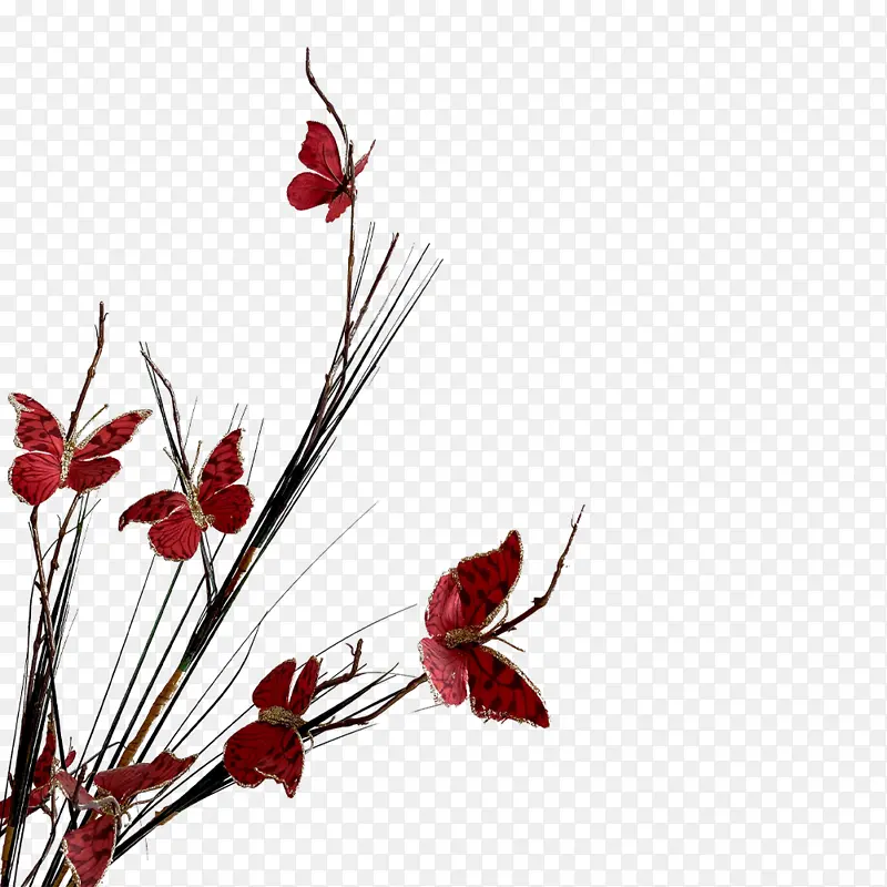 ������֦ ����Ԫ��-������