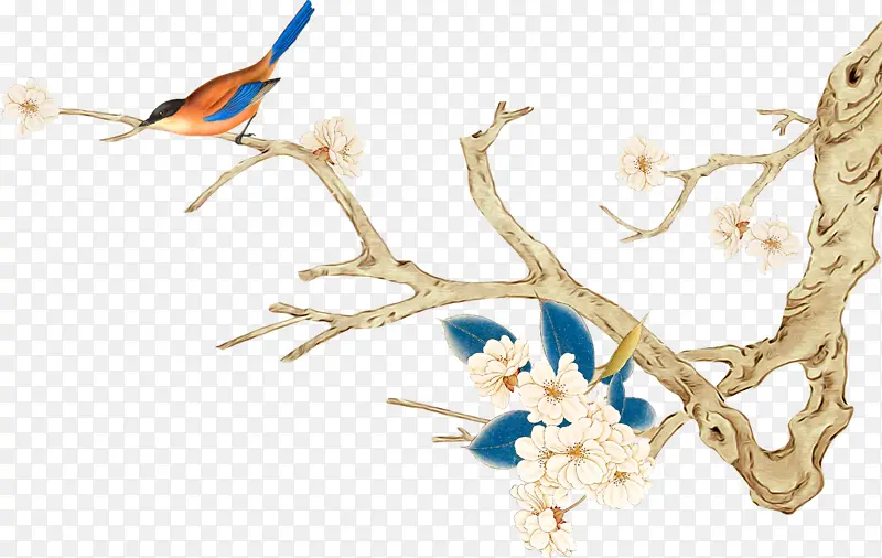 �й���ϲȵϲ��ü��С����֦-������