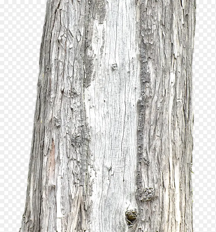 ������������-������