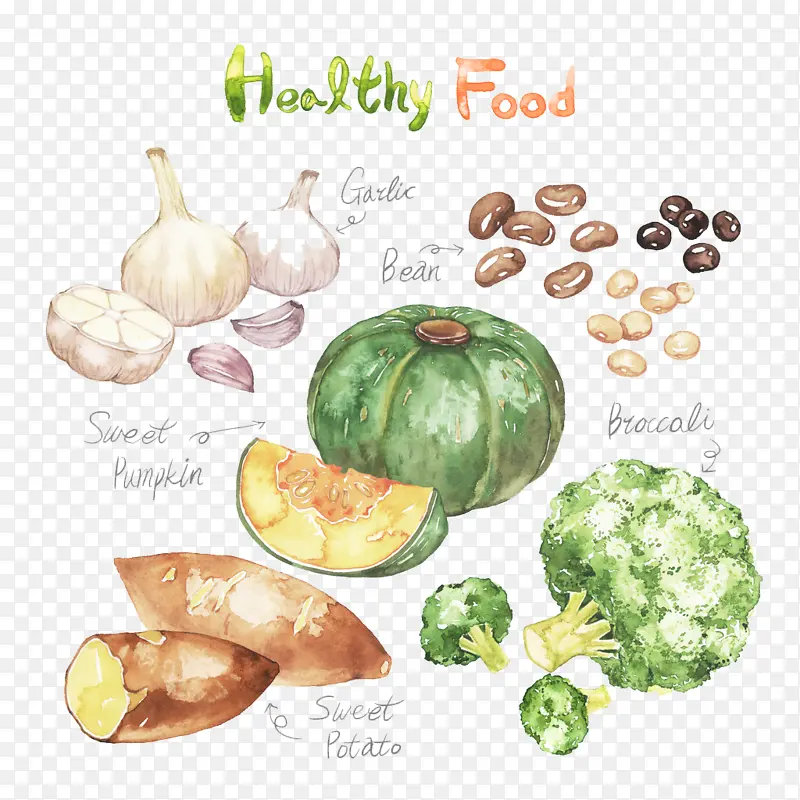 �����߲�ʳ��-������