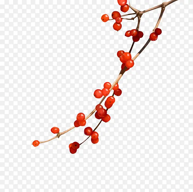 �춹֦ ��˼���춹 �춹���Ϲ�-������