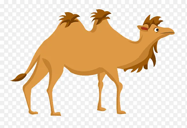 ����png�廭�ز�-������