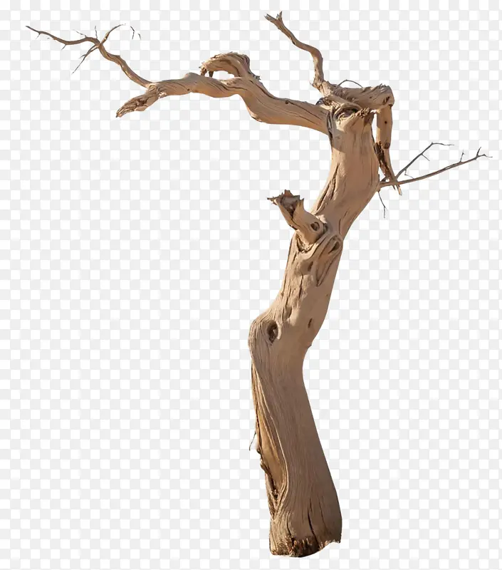 ��   ����     װ����-������