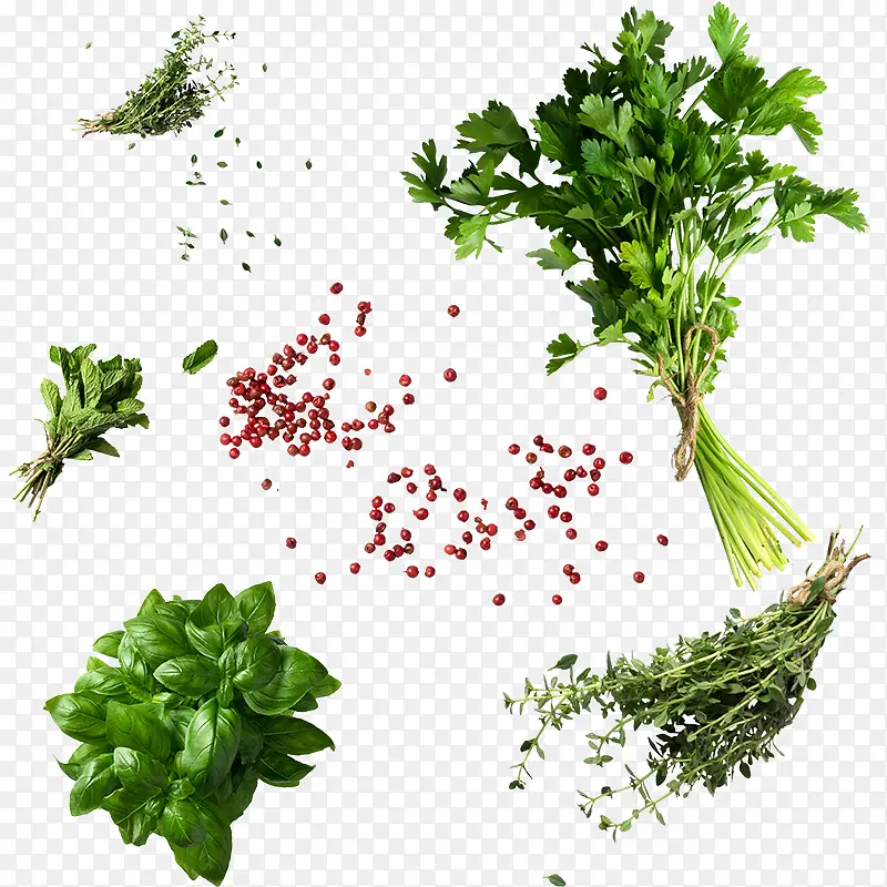 �߲ˣ���ˣ����ɣ��춹-������