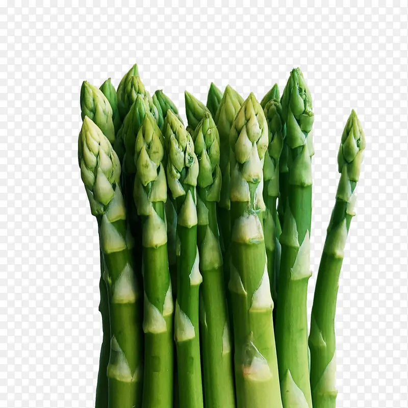 ����«��-������