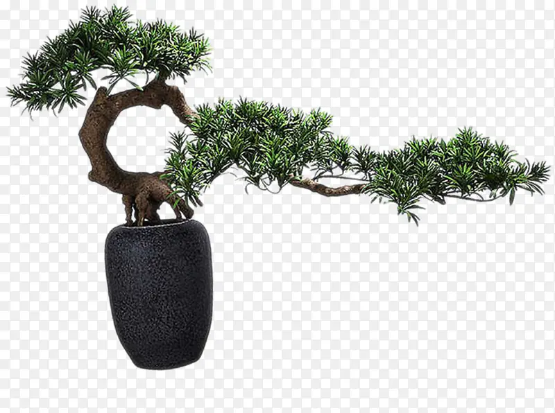 ��ʽ��ɫ������-������