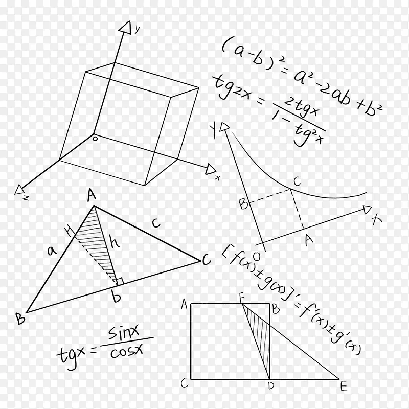 ��ѧ��ʽ���ŵ���-������