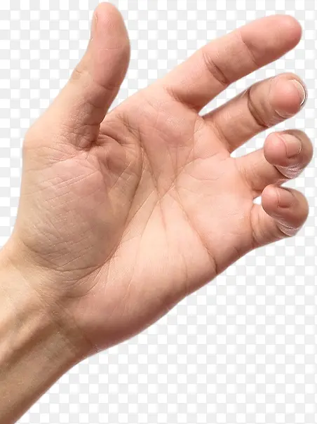 ��ָ ��ָͷ ʳָͷ  ָͷ-������