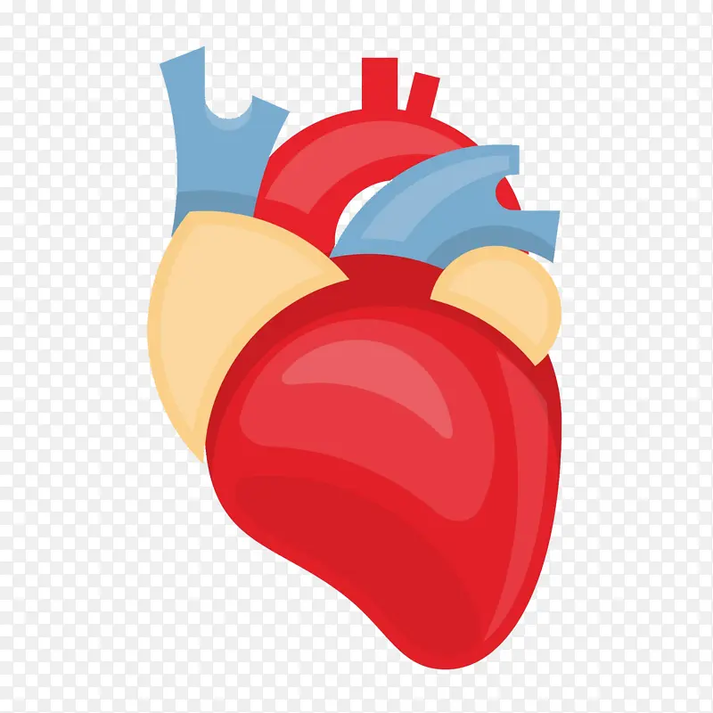 ��ͨ�ֻ��ɫ����-������