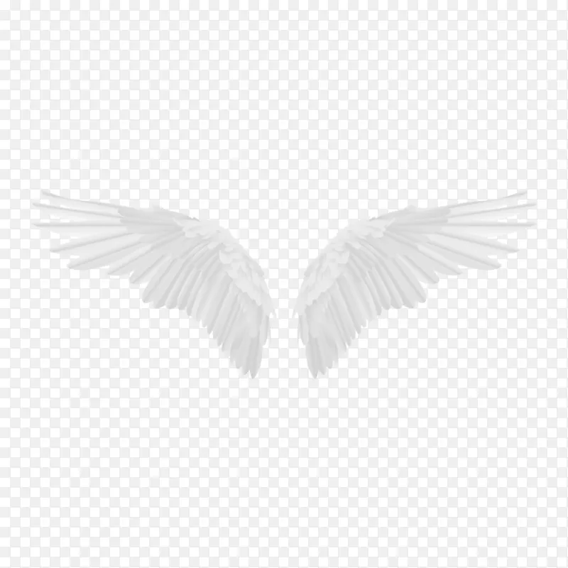 ��ɫչ����-������