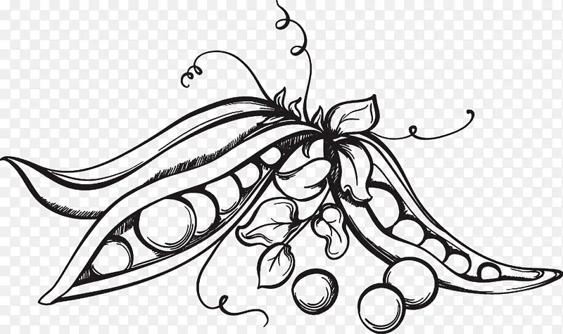 �ֻ��㶹ʸ���ز�-������