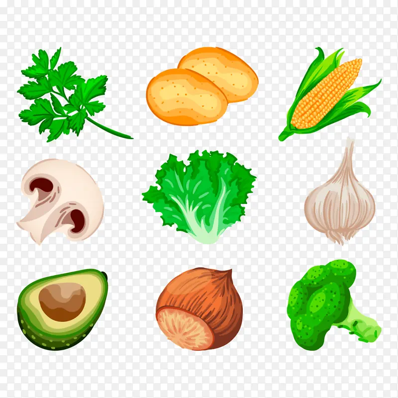 ��ͨ�����߲�-������