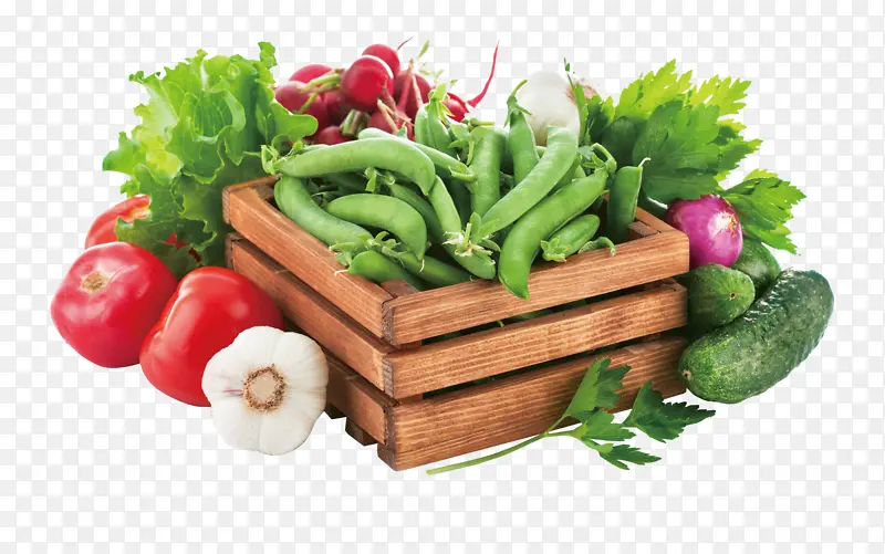 �Ϲ��߲˶���-������