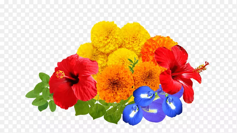 �л�����õ��-���������-������