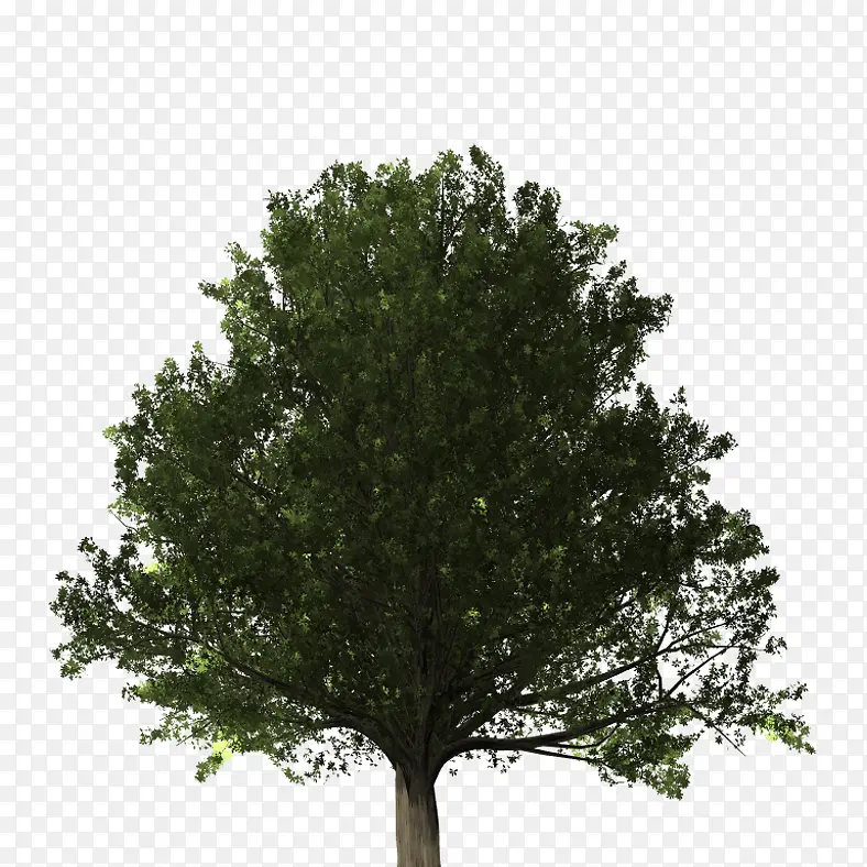 ��������������-������