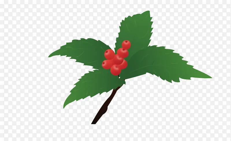 ֲ���ɺ��С���-������