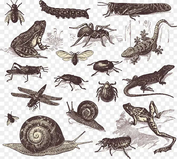 ʸ���ֻ�����ϼ�-������