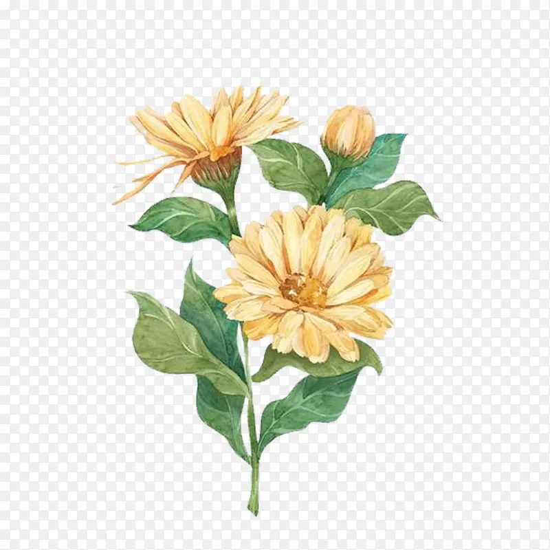 ��յ�ջ��廭 ��-������