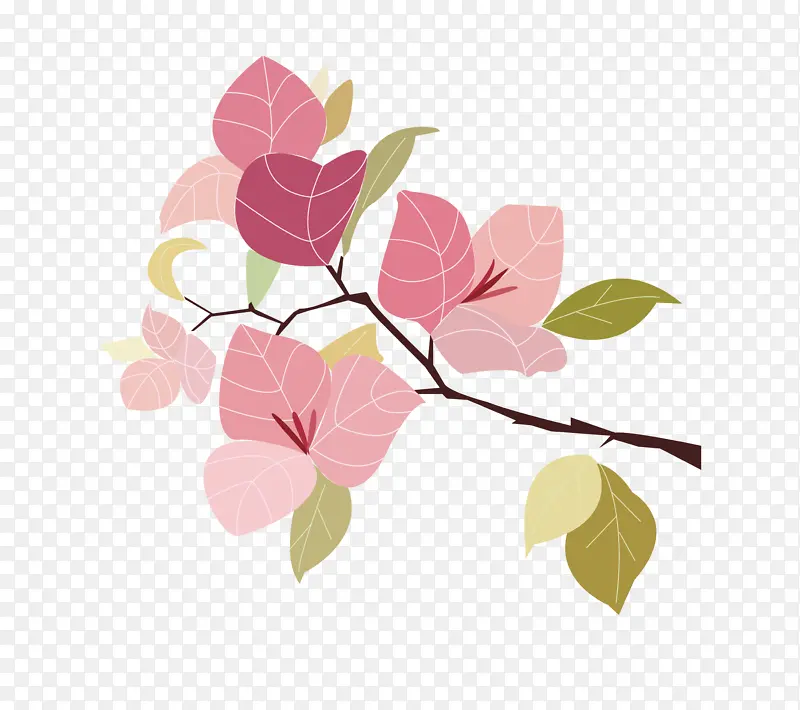 ����÷���ܲ廭-������