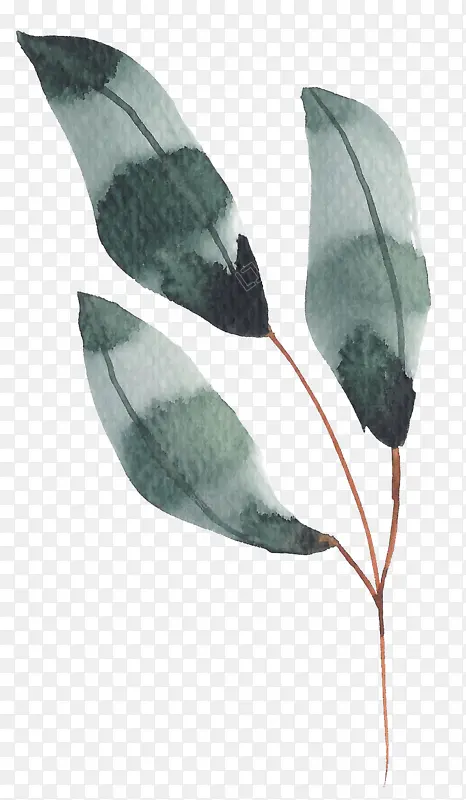 �ֻ�ˮ��װ����Ҷ-������