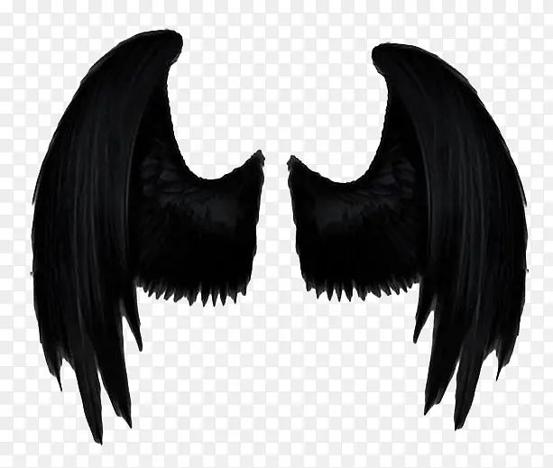 ��ɫ�ĳ���ز�-������